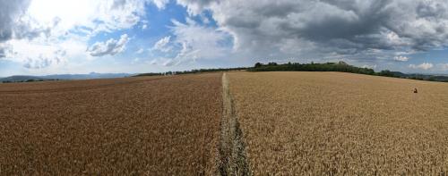 DJI_3609.JPG